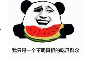 看吃瓜 内涵段子,看吃瓜内涵段子，揭秘网络笑料背后的秘密